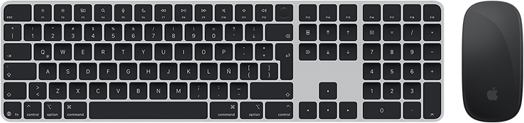 Vista desde arriba de un Magic Keyboard con Touch ID y un Magic Mouse