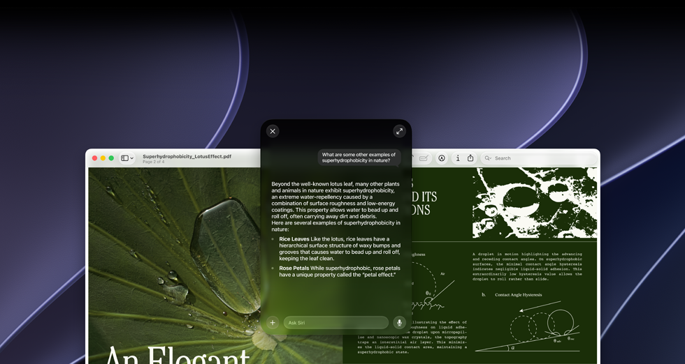 Demostración de Siri e Inteligencia Visual, consulta de un usuario sobre un tema en un PDF en la pantalla de una Mac, ¿Qué otros ejemplos hay de superhidrofobicidad en la naturaleza?, respuesta de Siri