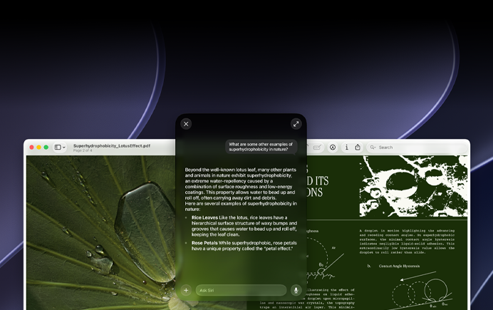 Demostración de Siri e Inteligencia Visual, consulta de un usuario sobre un tema en un PDF en la pantalla de una Mac, ¿Qué otros ejemplos hay de superhidrofobicidad en la naturaleza?, respuesta de Siri