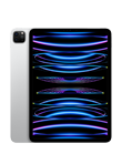 iPad Pro de 11” (4.ª generación)